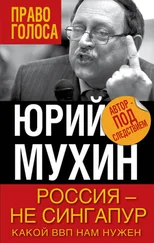 Юрий Мухин - Россия — не Сингапур. Какой ВВП нам нужен