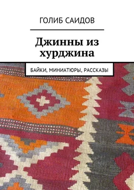 Голиб Саидов Джинны из хурджина. Байки, миниатюры, рассказы обложка книги