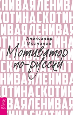 Александр Молчанов Ленивая скотина. Мотиватор по-русски обложка книги