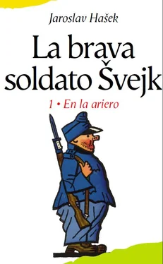 Jaroslav Hašek Aventuroj de la brava soldato Švejk dum la mondmilito обложка книги