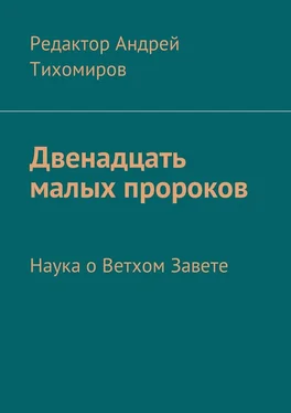 Андрей Тихомиров Двенадцать малых пророков. Наука о Ветхом Завете обложка книги