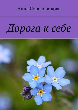 Анна Сороковикова Дорога к себе обложка книги