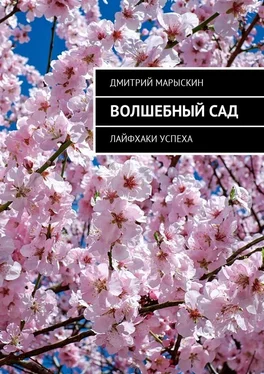 Дмитрий Марыскин Волшебный сад. Лайфхаки успеха обложка книги