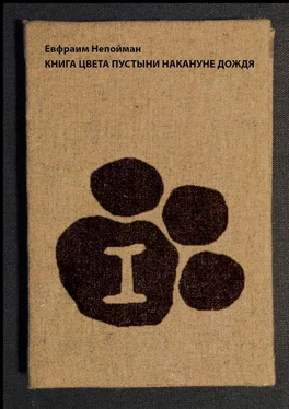 Евфраим Непойман Книга цвета пустыни накануне дождя обложка книги