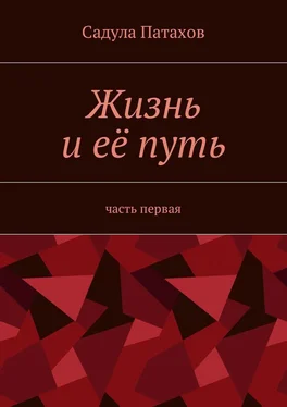 Садула Патахов Жизнь и её путь. Часть первая обложка книги