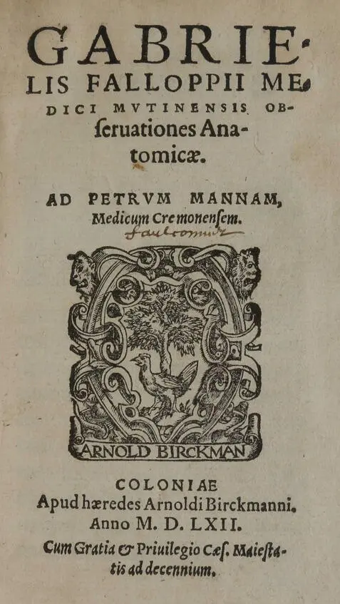 Габриэль Фаллопий Анатомические наблюдения 1561 в книге детально описано - фото 3