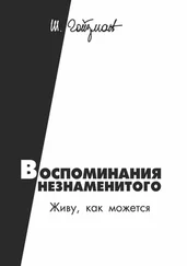 Шимон Гойзман - Воспоминания незнаменитого. Живу, как можется