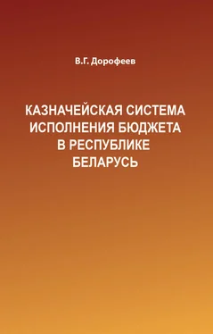 Вячеслав Дорофеев Казначейская система исполнения бюджета в Республике Беларусь обложка книги