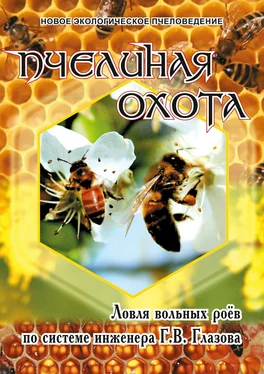 Геннадий Глазов Пчелиная охота. Ловля вольных роёв по системе инженера Г.В. Глазова обложка книги