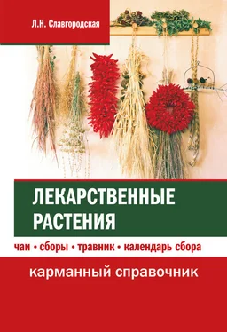 Лариса Славгородская Лекарственные растения: чаи, сборы, травник, календарь сбора обложка книги