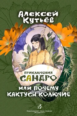 Алекей Кутьев Приключения Сандро, или Почему кактусы колючие? обложка книги