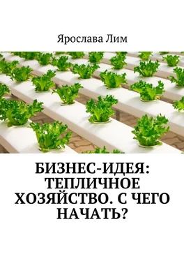 Ярослава Лим Бизнес-идея: Тепличное хозяйство. С чего начать? обложка книги