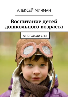 Алексей Мичман Воспитание детей дошкольного возраста. От 1 года до 6 лет обложка книги