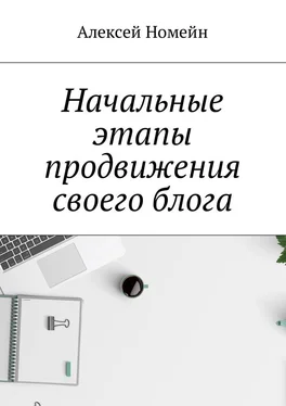 Алексей Номейн Начальные этапы продвижения своего блога обложка книги