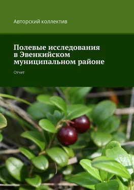 Елизавета Стручева Полевые исследования в Эвенкийском муниципальном районе. Отчет обложка книги