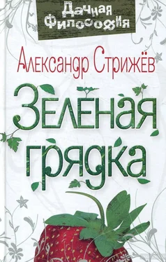 Александр Стрижев Зеленая грядка обложка книги