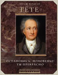 Иоганн Вольфганг Гёте - Остановись, мгновенье! Ты прекрасно