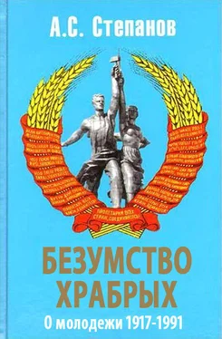 Александр Степанов Безумство храбрых. О молодежи 1917 – 1991 годов обложка книги