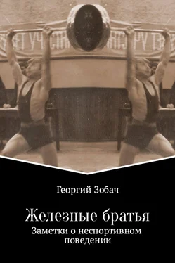Георгий Зобач Железные братья обложка книги