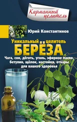 Юрий Константинов - Уникальный целитель берёза. Чага, сок, дёготь, уголь, эфирное масло, бетулин, щёлок, настойки, отвары для вашего здоровья