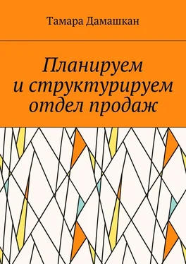 Тамара Дамашкан Планируем и структурируем отдел продаж обложка книги