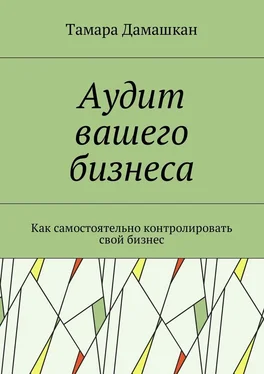 Тамара Дамашкан Аудит вашего бизнеса. Как самостоятельно контролировать свой бизнес обложка книги