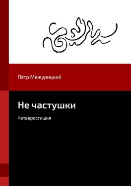 Пётр Межурицкий Не частушки. Четверостишия обложка книги