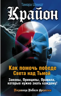 Тамара Шмидт Крайон. Как помочь победе Света над Тьмой. Законы, Принципы, Правила, которые нужно знать каждому! обложка книги