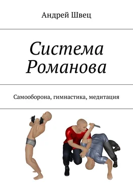 Андрей Швец Система Романова. Самооборона, гимнастика, медитация обложка книги