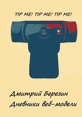 Дмитрий Березин Дневники веб-модели обложка книги