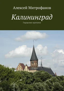 Алексей Митрофанов Калининград. Городские прогулки обложка книги