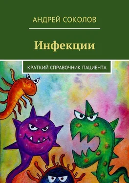 Андрей Соколов Инфекции. Краткий справочник пациента обложка книги