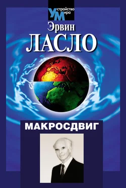 Эрвин Ласло Макросдвиг (К устойчивости мира курсом перемен) обложка книги
