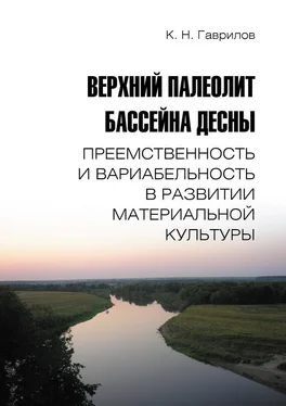 Константин Гаврилов Верхний палеолит бассейна Десны. Преемственность и вариабельность в развитии материальной культуры обложка книги