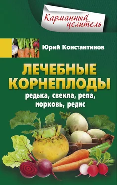 Юрий Константинов Лечебные корнеплоды. Редька, свекла, репа, морковь, редис обложка книги