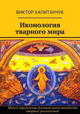 Виктор Капитанчук Иконология тварного мира обложка книги