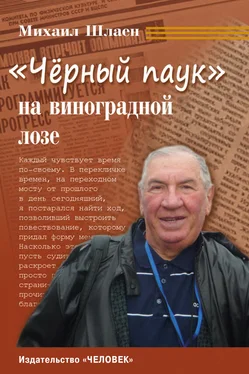 Михаил Шлаен «Черный паук» на виноградной лозе обложка книги