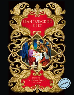 Николай Вагнер Евангельский свет. Истории об Иисусе Христе для детей обложка книги