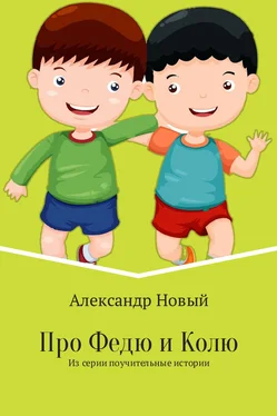 Александр Новый Про Федю и Колю обложка книги