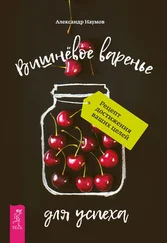 Александр Наумов - Вишнёвое варенье для успеха. Рецепт достижения ваших целей