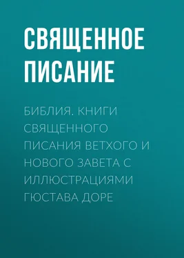 Священное Писание Библия. Книги Священного Писания Ветхого и Нового Завета с иллюстрациями Гюстава Доре обложка книги