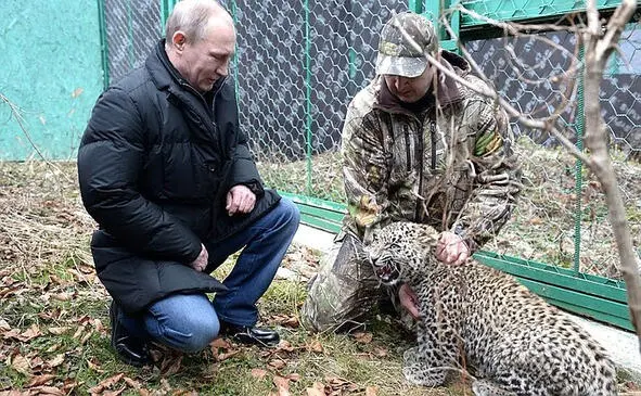 Разные любви дороги А божественная чья Жеребец на сеновале а кобыла - фото 8