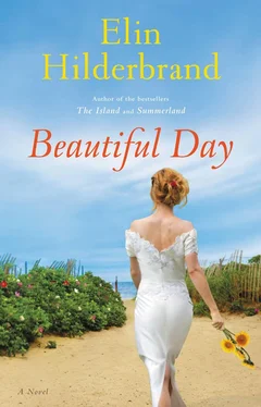 Elin Hilderbrand Beautiful Day обложка книги