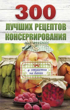 Виктория Рошаль 300 лучших рецептов консервирования обложка книги