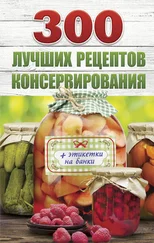 Виктория Рошаль - 300 лучших рецептов консервирования