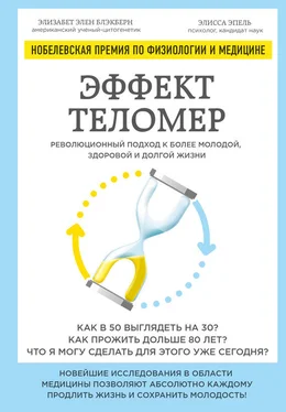 Элисса Эпель Эффект теломер: революционный подход к более молодой, здоровой и долгой жизни обложка книги