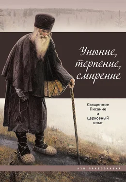 Татьяна Терещенко Уныние, терпение, смирение. Священное Писание и церковный опыт обложка книги