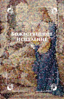 Эндрю Мюррей Божественное исцеление обложка книги