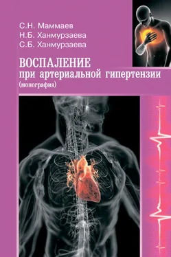 Сулейман Маммаев Воспаление при артериальной гипертензии. Монография обложка книги