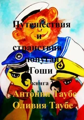 Антония Таубе - Путешествия и странствия попугая Гоши. Книга 2
